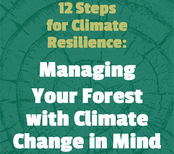 12 Steps for Climate Resilience: Managing Your Forest with Climate Change in Mind